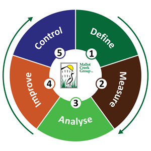 DMAIC wheel