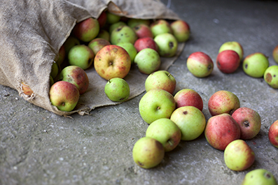 Food Waste - Apples Spilling